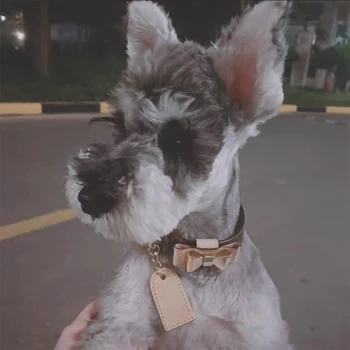 

dog pet dog collar dog accessories dogs pets accessories chihuahua dog supplies cat collar Cowhide dog collar cow leather collar