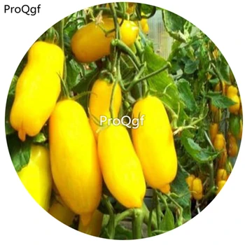 

Ngryise 6000Pcs A Set yellow color banana style tomato