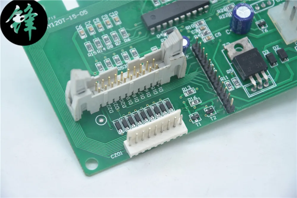 DSC_6351