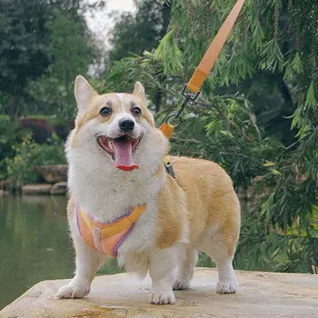 

Pet Outdoor Polyester Harness For Leash Reflective Safe Walking Vest For Small Medium Dogs Solid Escape Proof Dog Leads