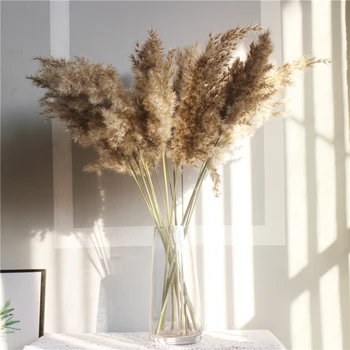 

15/20Pcs Dried Reed Small Pampas Grass Phragmites Home Decor Wedding Decor Dried Flowers Bunch Plastic Vase Wedding Photo Props