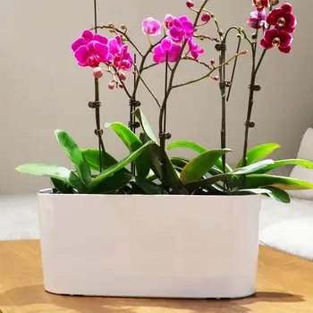 

Rectangular Landscape Flower Pot Desktop Automatic Water Absorption Resin Paint Pot With Scale Design For Plants Flowers