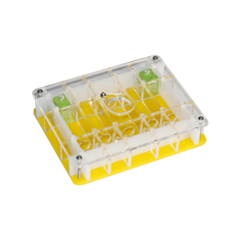 Insect Grate Lair Transparent Acrylic Box Ant Farm Feeding Ornament Box Eco Pet Nest Gift