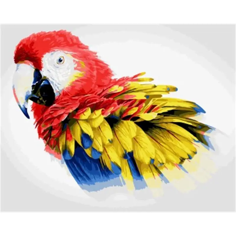 

Elaborate 40x50cm Frame Painting By Numbers Colour Parrot On Canvas Pictures By Numbers Home Decoration DIY Colorful Art Style