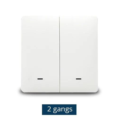 Zemismart Tuya Zigbee настенный выключатель Alexa Google Домашний Светильник без нейтрального провода Физическая кнопка - Цвет: Two gangs