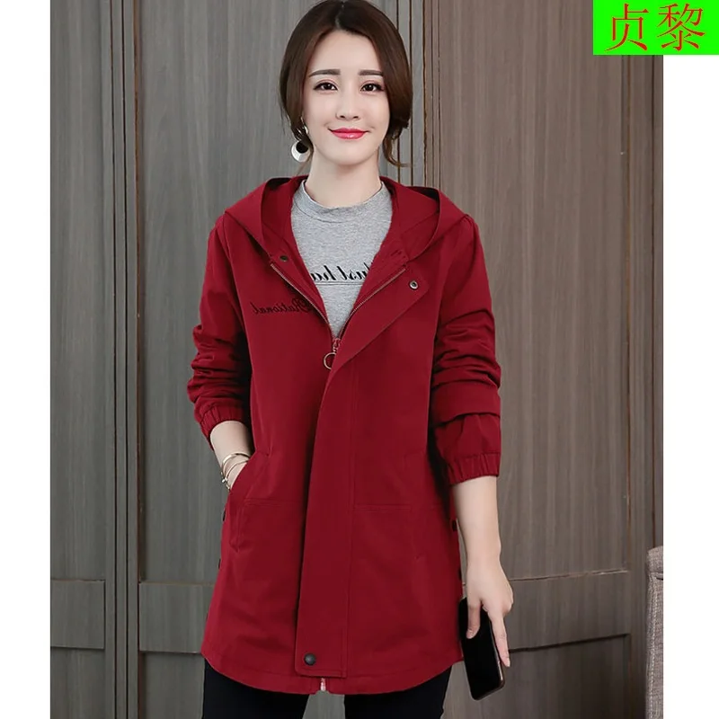 

Cotton-padded Clothes WOMEN'S Medium-sized Korean-style 2018 New Style Loose-Fit Lambs Wool Thick Large Size Cotton Coat Winter