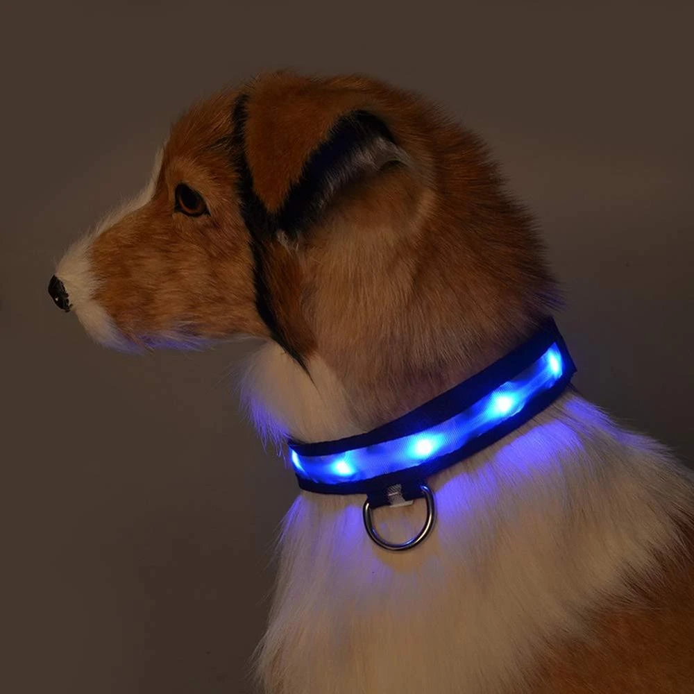 waterproof dog light