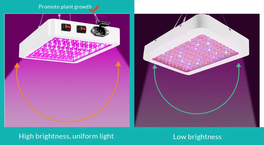 LED Grow Light Full Spectrum 410-730nm 1000W 1200W Phyto Growth Lamp Indoor Phytolamp for Plants Flower Veg Greenhouse Grow Tent (9)