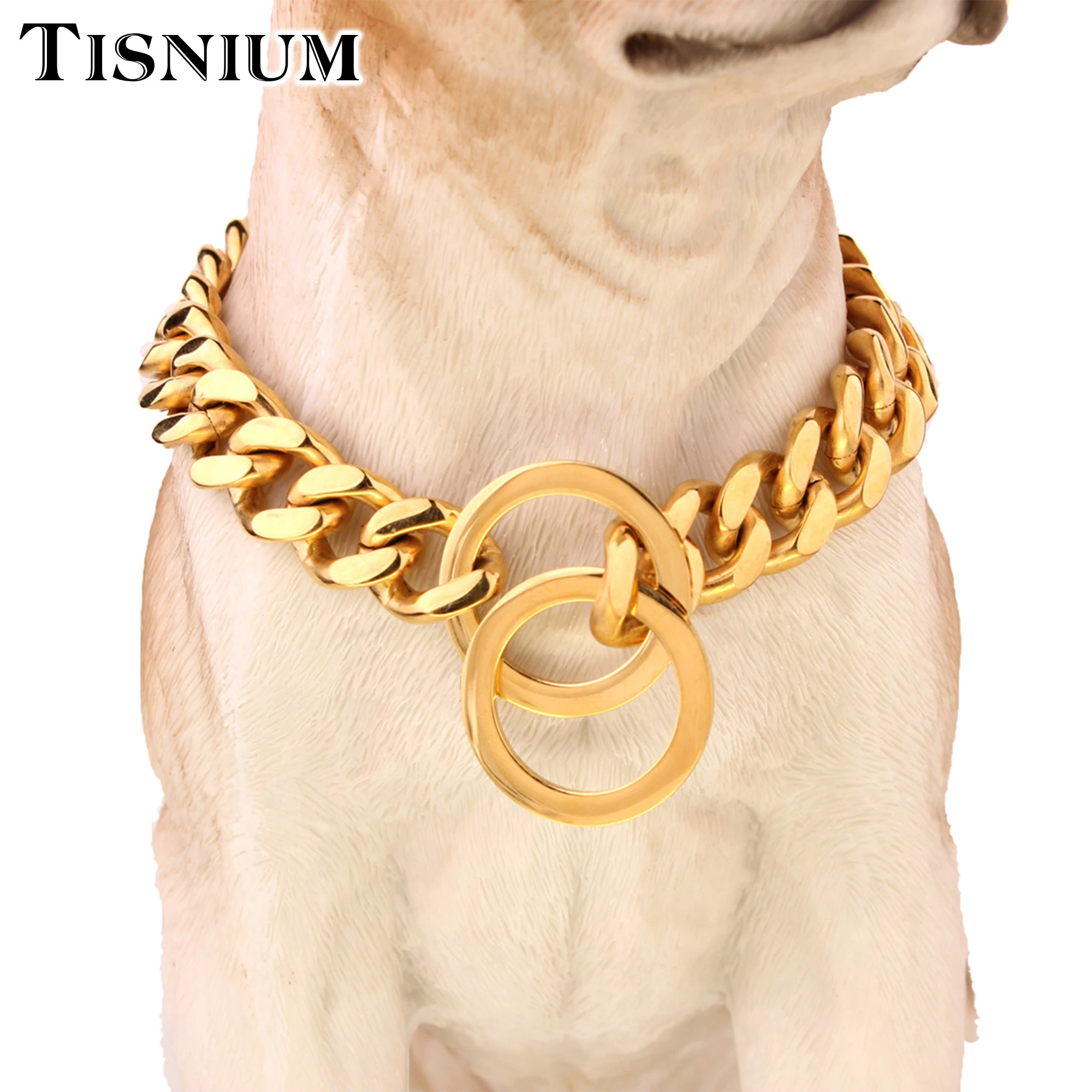 Dog chain necklace with picture Clearance