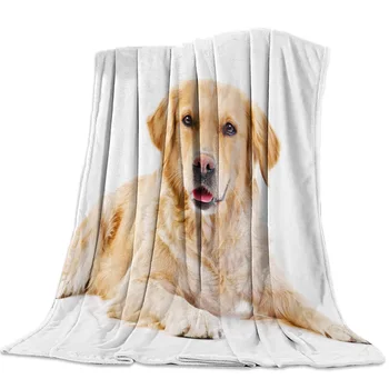 

Golden Retriever Touring Retriever Pet Dog Fur On Yellow Paws Coral Fleece Fuzzy Blankets on Bed Throws Bedsheet for Kids Girls