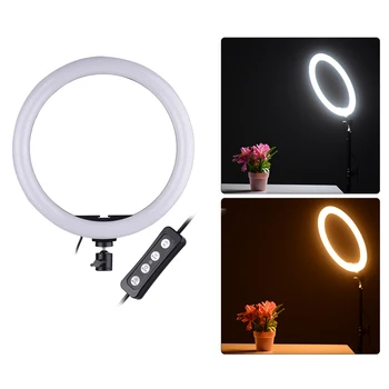 

Compact Size LED Video Ring Light Fill-in Lamp 24W Dimmable 2700-5500K Color Temperature with Smartphone Holder 2pcs Ball Heads