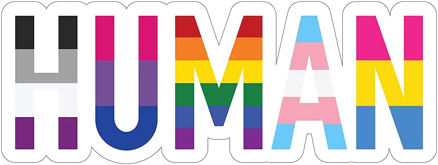 

CMCT human LGBT + Gay Pride Rainbow lesbian bisexual pan transgender flag car truck bumper 15cm waterproof Vinyl Sticker