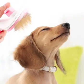 

Dog Hair Removal Comb Grooming Cats Comb Pet Products Cat Comb For Dogs Toll Trimmer Brush Comb Hair Automatic Grooming Pet B4V6