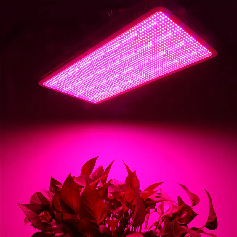 300 Вт 600 Вт 800 Вт 1200 Вт 1600 Вт полный спектр светодиодный светильник для выращивания растений лампы для цветочных растений Veg Гидропоника системы для выращивания/цветения палатки