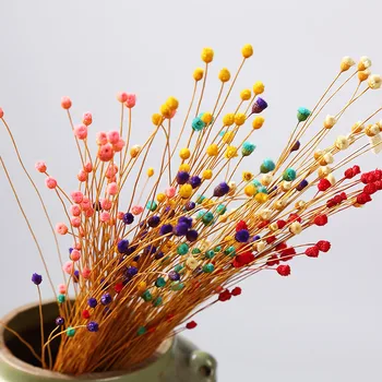 

50pcs Real Happy Flower Small Natural Dried Flowers Bouquet Dry Flowers Press Mini Decorative Photography Photo Backdrop Decor