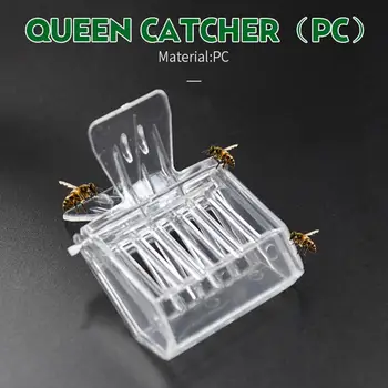 

10Pcs Clear Plastic Bee Queen Catcher Clip Cage Beekeeping Equipment Clamp Tool Bee Queen Catcher catch the queen bees.practical