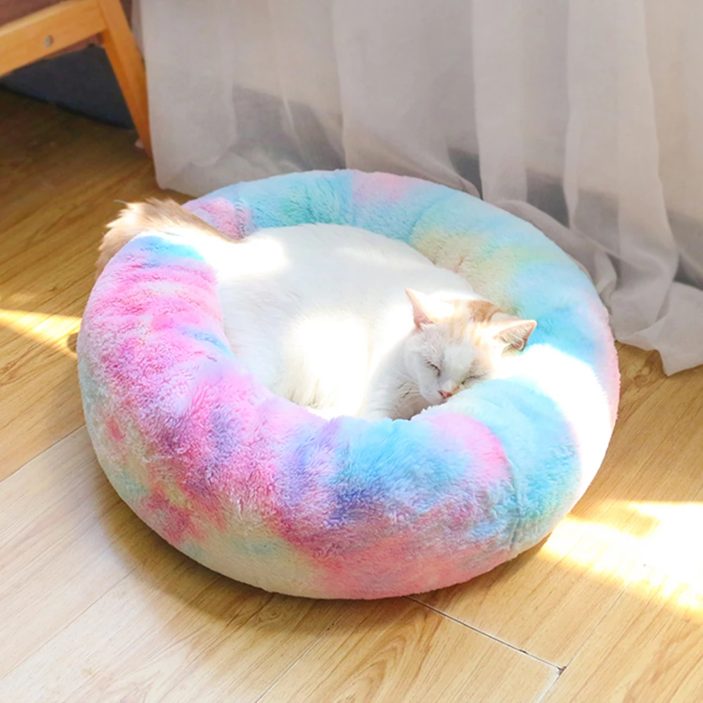 jay scruggs mobile grooming