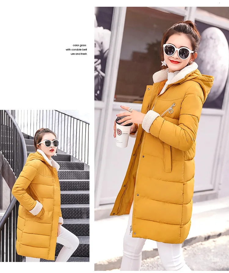 9116318372_1006637240