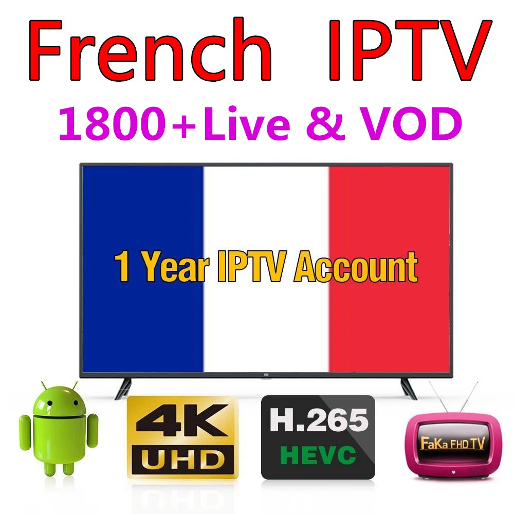 T9 Android 9,0 Smart tv Box set top box+ 1 год NEO Pro IP tv подписка Европа Франция 2,4G& 5,8G Wi-Fi передатчик для интернет-телевидения Box Home Meida плеер