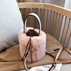 Bucket Bag Handbag Fashion Faux Fur Winter Bags Women Shoulder Crossbody Bag Ladies Plush Hand Bags Designers Bolsa Feminina Sac ► Photo 2/6