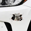 New 1Pcs Car 3D Stereo Cat Big Dog Scratch Masking Sticker Cute Cat Car Sticker 3D Animal Vinyl Decal Reflective Car Stickers ► Photo 3/6