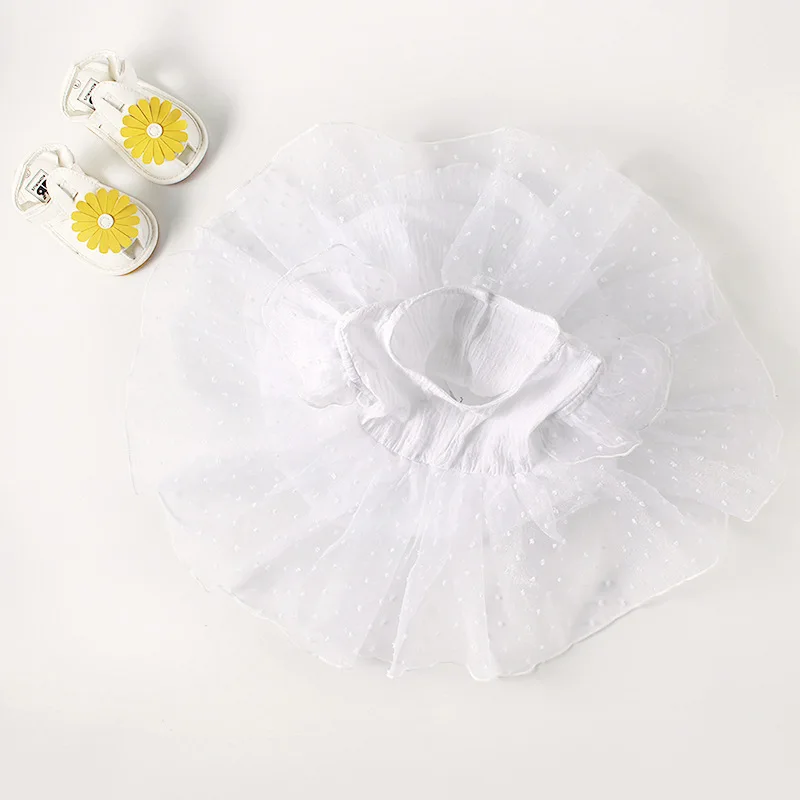 8581047165_1610855387