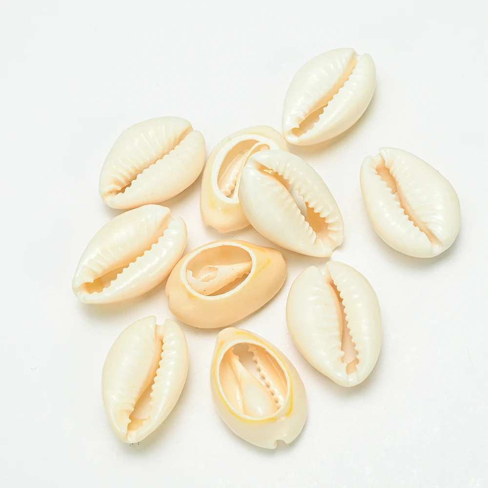 chakra beads 10/20/30/50pcs Colorful DIY Seashell Cowrie Conch Beads for Shell Earrings Bracelet Necklace Making Beach Jewelry Accessories gemstone beads Beads