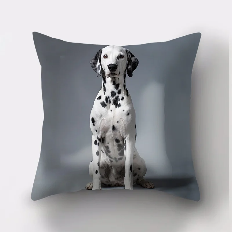 

Throw Pillow Case Decorative Cushion Cover , Dalmatian Dog For Sofa Bed Pillow Case Cover