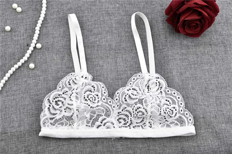 4442946449_2031904541