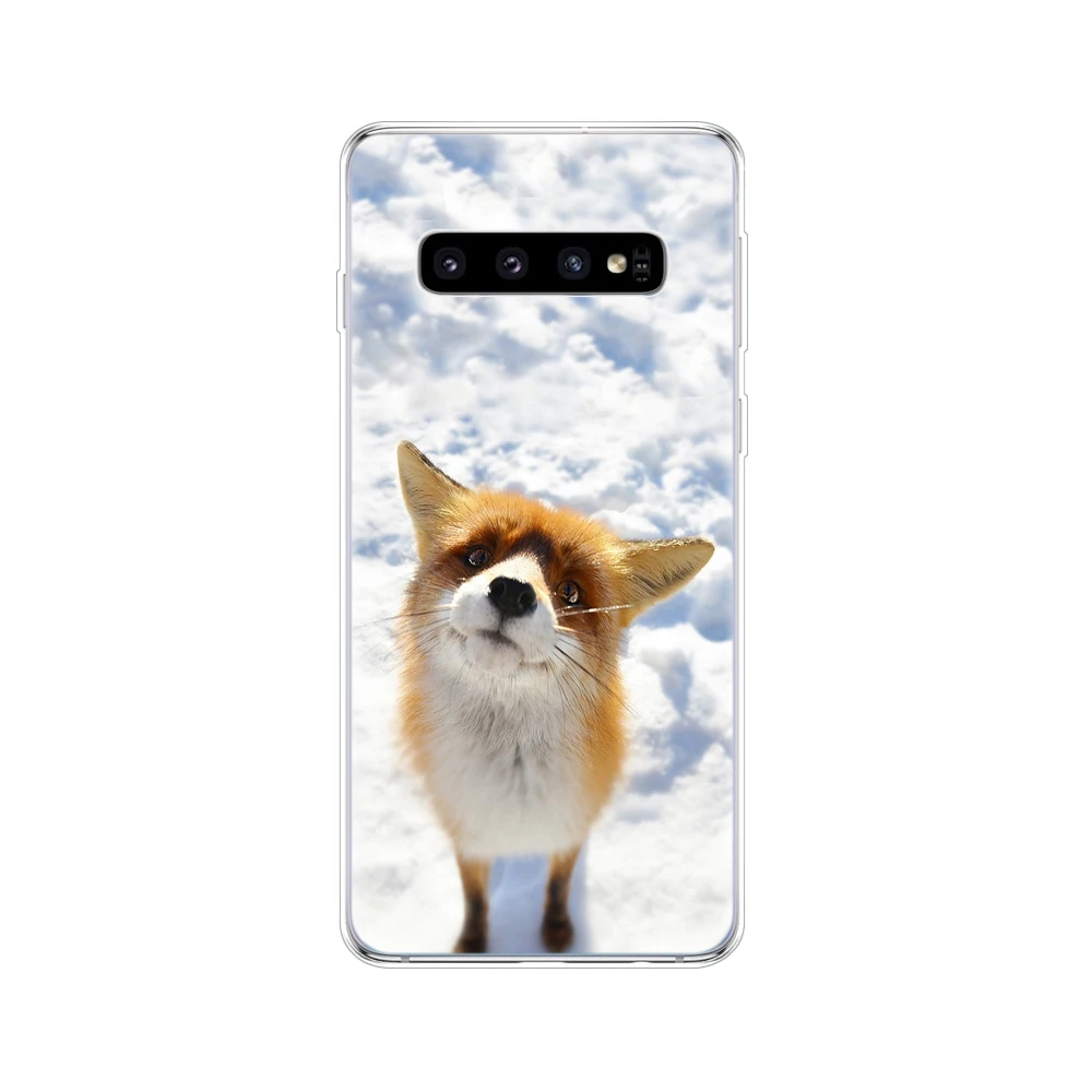 Чехол для samsung Galaxy S10 S10+ бампер силиконовый чехол из ТПУ для samsung S10 Plus copas G975F S 10 SM-G973F s10 e fundas cute - Цвет: 34518
