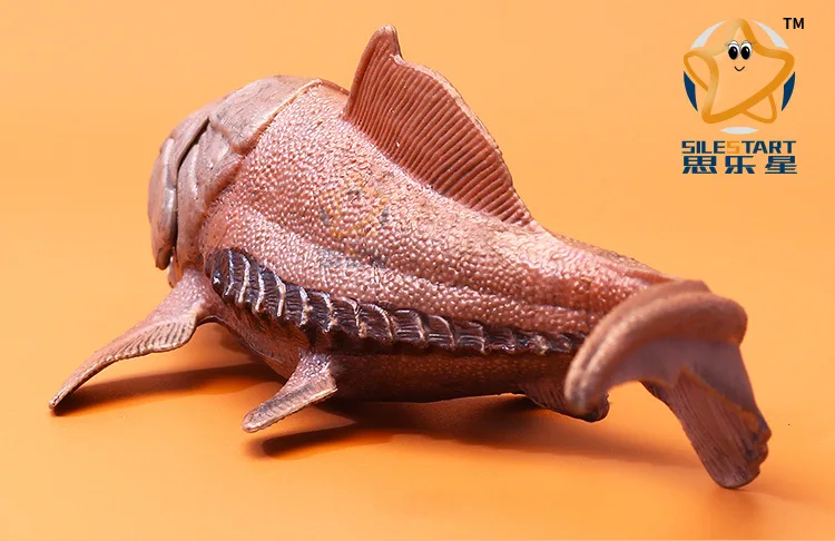 Бутик твердых океанов животных модель Dunkleosteus морского организма найти Немо раннее образование реквизит