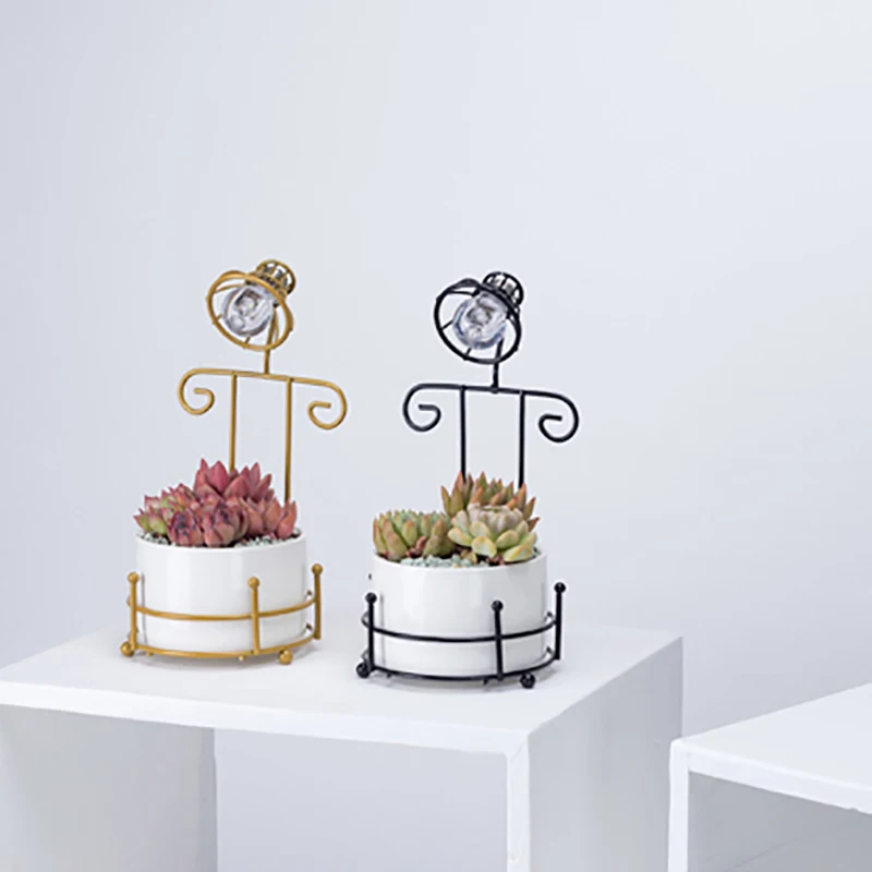 

Instagram Nordic Simple Gold Iron Ceramic Succulent Plant Flowerpot Creative Individual Flower Interior Tabletop Decoration