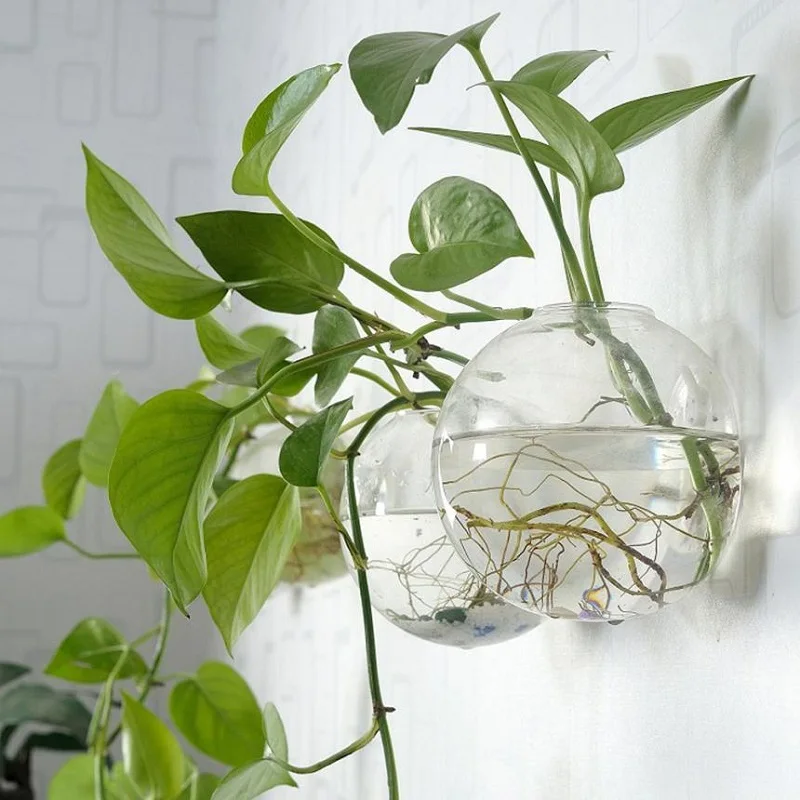 Прозрачный растительный настенный подвесной круглый цветочный горшок для аквариума акриловая ваза для аквариума украшение дома 10x10 см