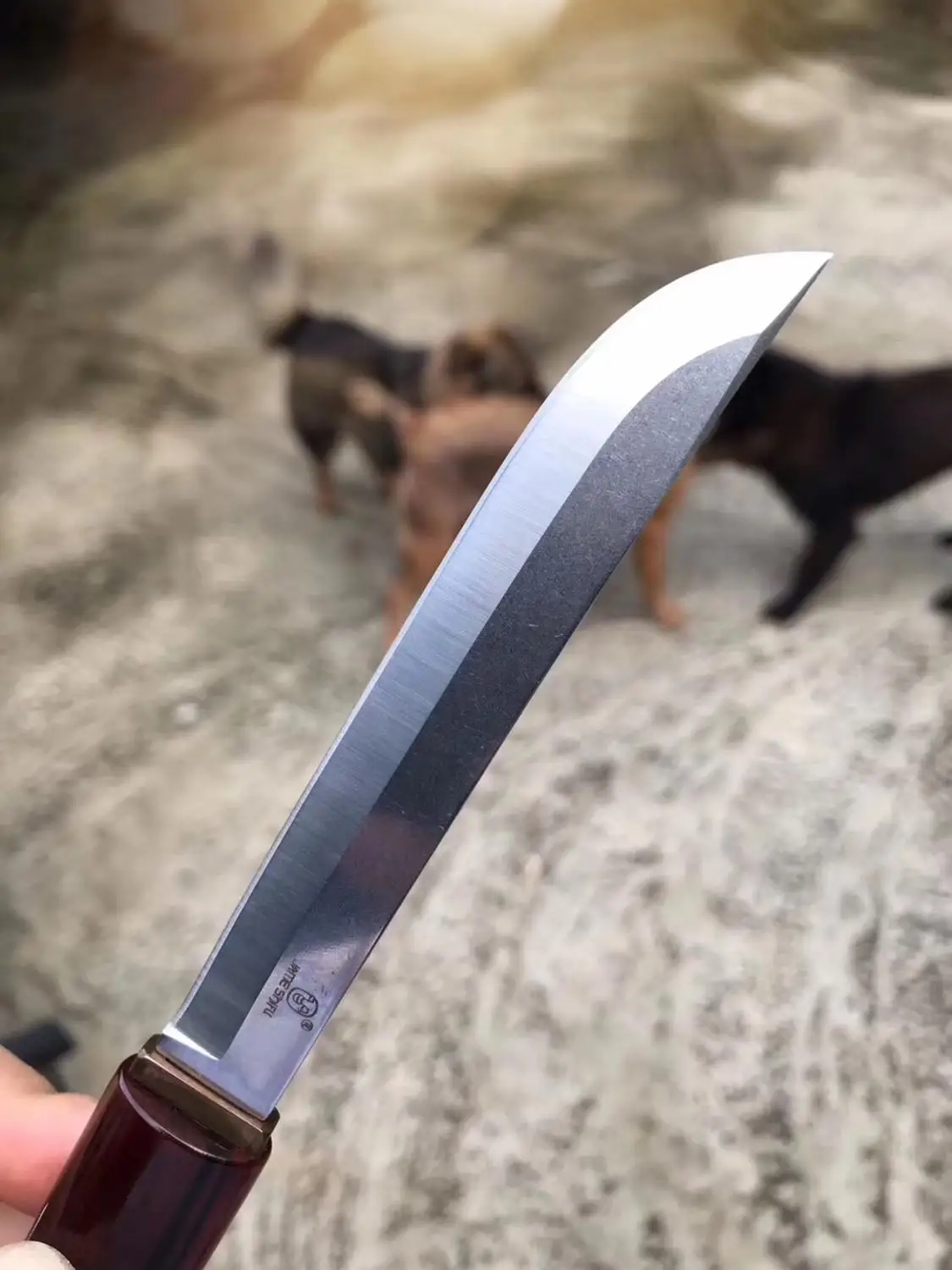 Высококачественные 440c Стальные прямые лезвия, японские ebony hilt наружные охотничьи Тактические прямые лезвия с ножнами