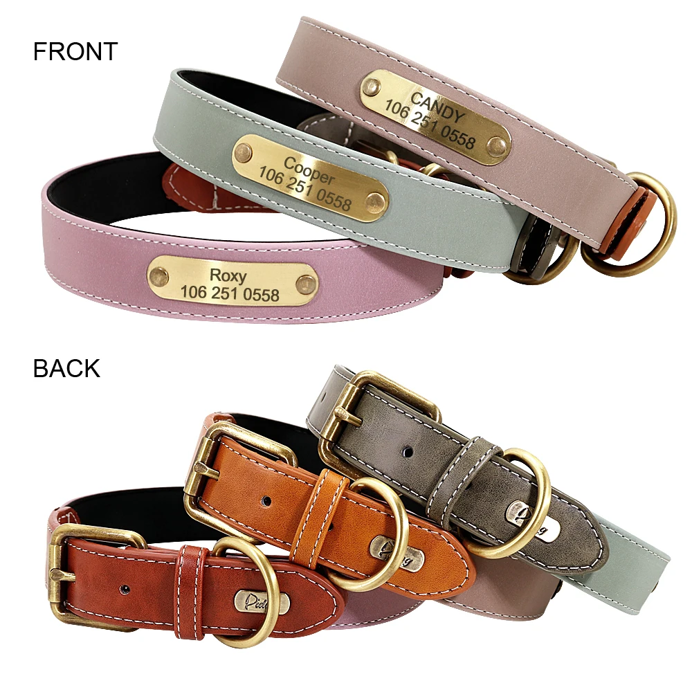 Curated visual reference: Personalized Engraved Dog Nameplate Reference: Personalized Engraved Dog Nameplate Collar