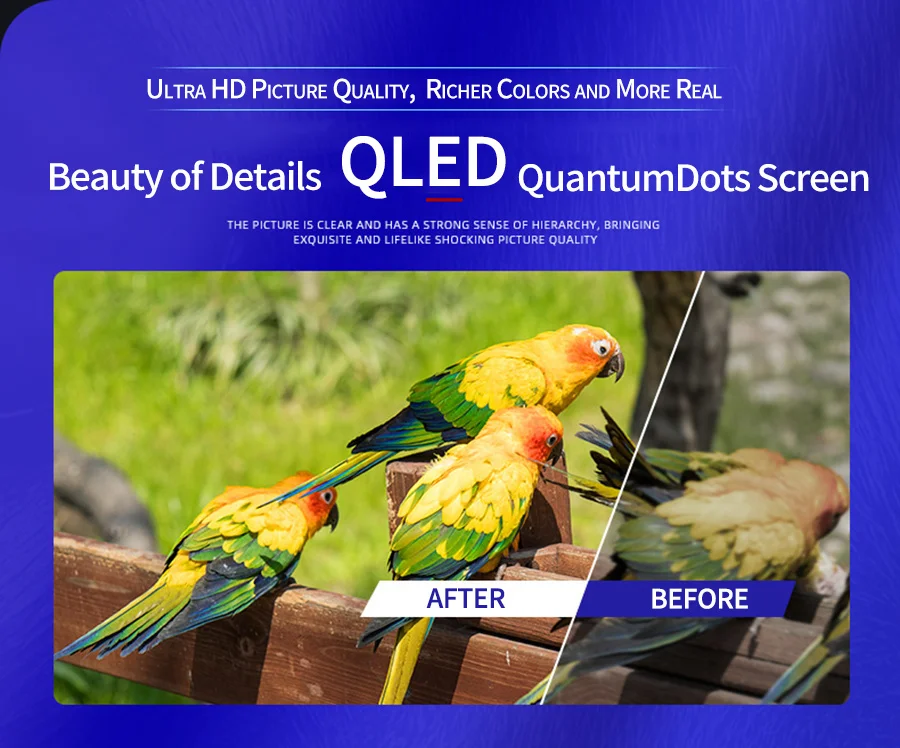 O1CN01ebwZpx1Xa6f1kv6iv_!!1746682939.jpg_.webp O1CN01ebwZpx1Xa6f1kv6iv_!!1746682939.jpg_.webp