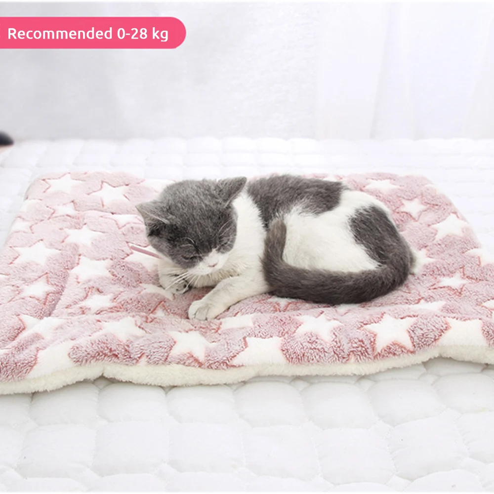New Soft Cat Bed Rest Dog Blanket Winter Foldable Pet Cushion Hondenmand Coral Cashmere Soft Warm