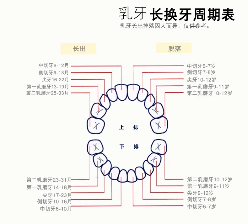 Apple Expression Theme Baby ya wu Lanugo чехол для хранения зубов для младенцев