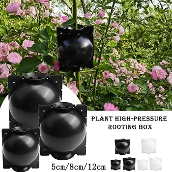 

5Pcs Rooting Ball Grafting High Pressure Plant Rooting Growing Box Breeding Case for Garden 5/8/12cm plant rooting grow box