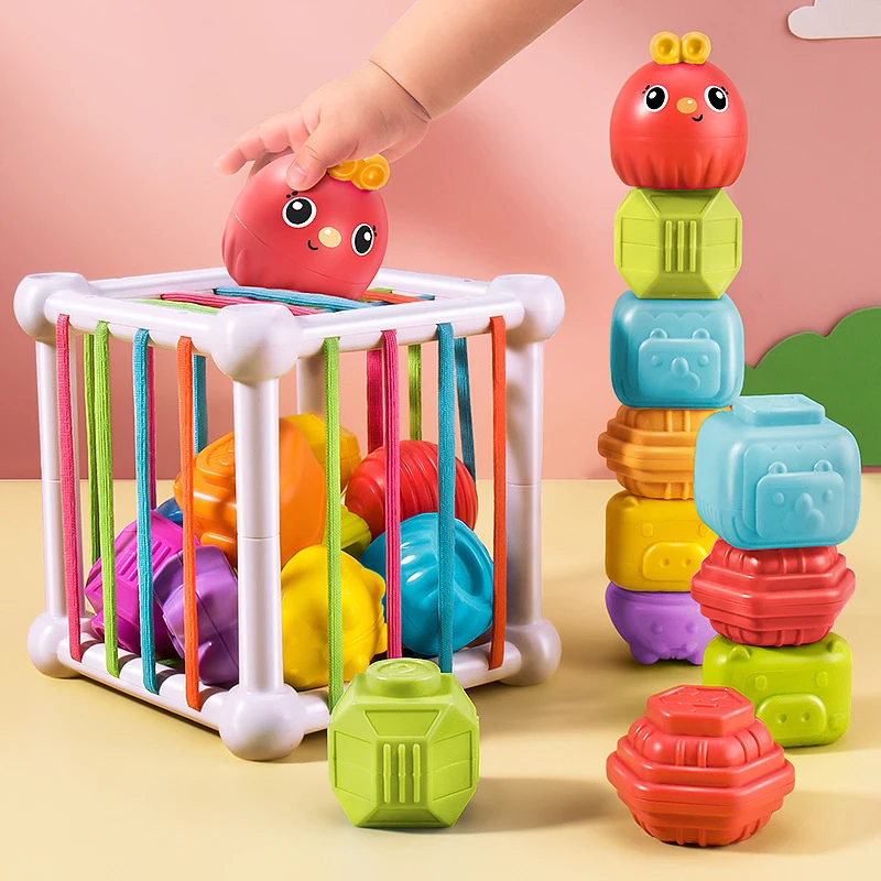 Juguete clasificación de forma Montessori para bebé, oruga colorida con Motor de cubo, Juguetes Educativos de aprendizaje de habilidades táctiles, regalos de 10 meses a 3 | - AliExpress