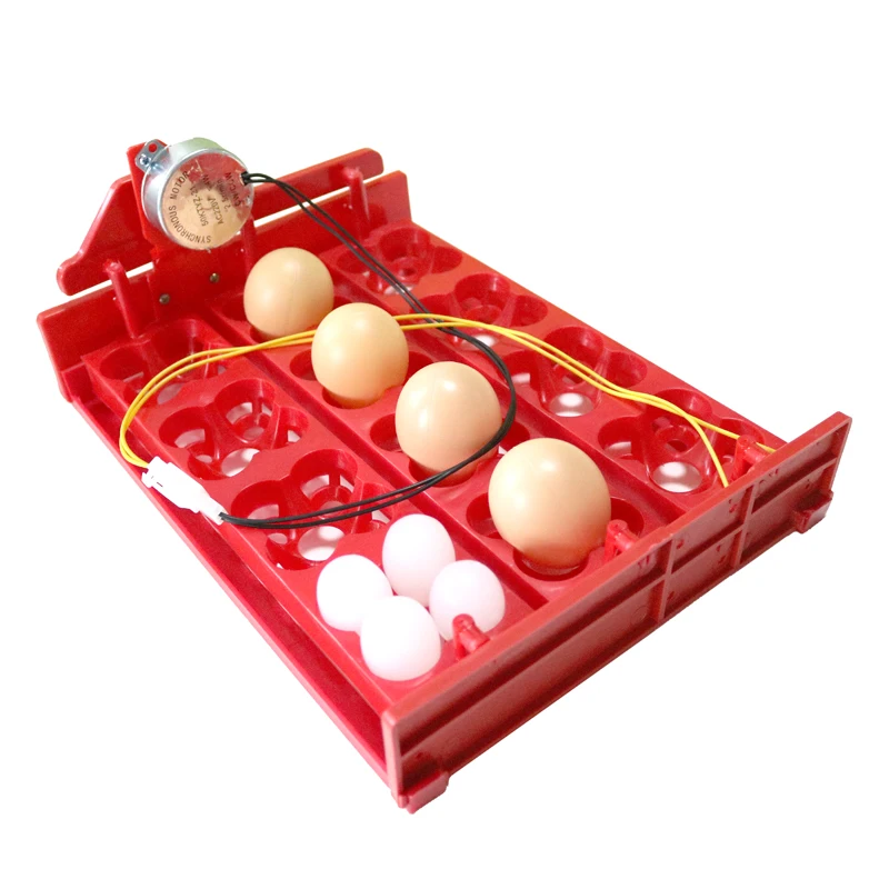 YALIKESI Vassoio Gira Uova Automatico 9 Tubi | Motore 220V | Per Incubatrici Polli E Anatre - Foto 4