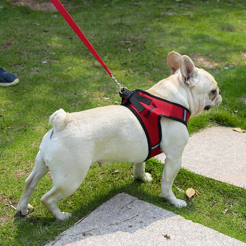 15197751047_1490864554