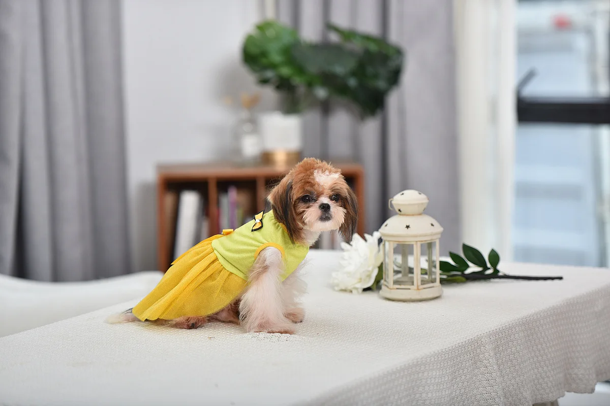 优宝龙宠物衣服 (163).jpg