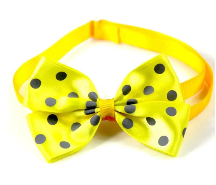 QQ截图20191023154243