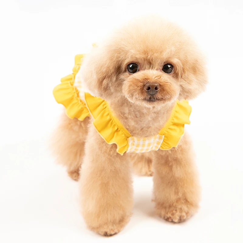 summer girl puppy dress (8)