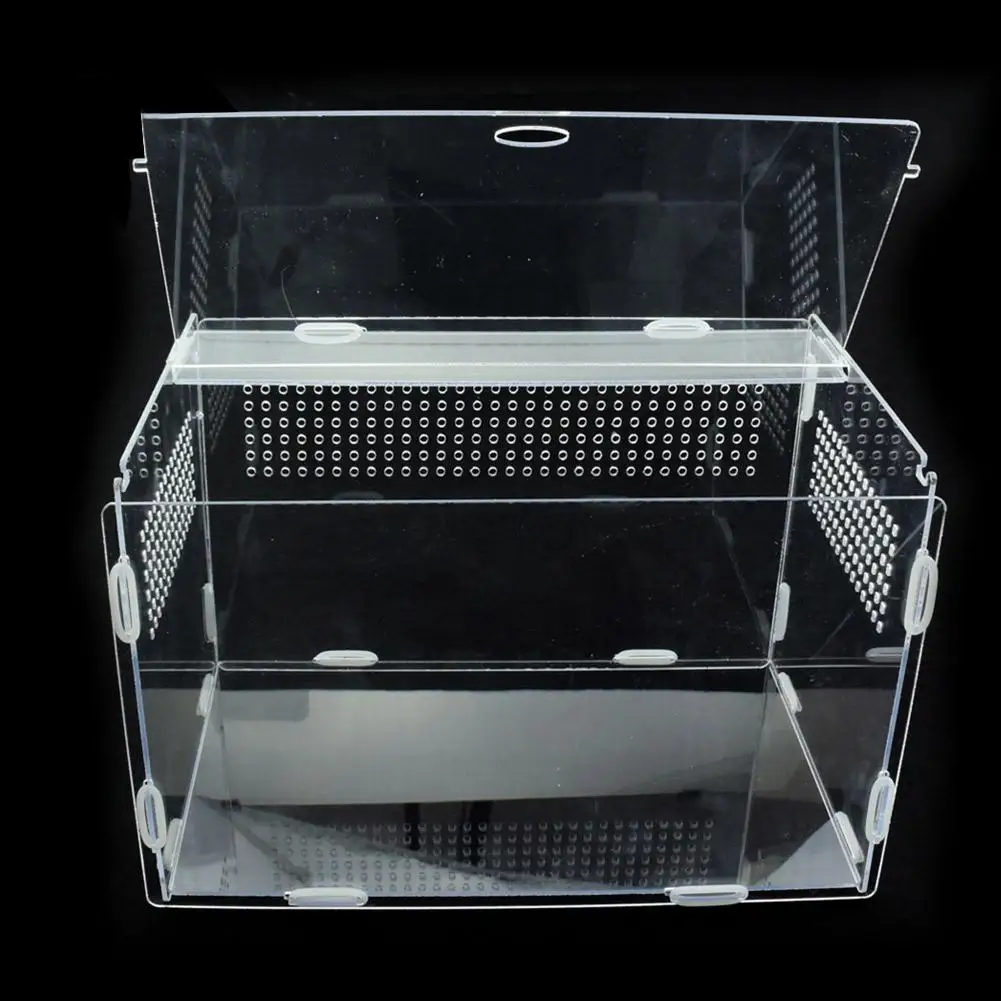 Reptile Breeding Box Transparente, Caixa De Alimentação