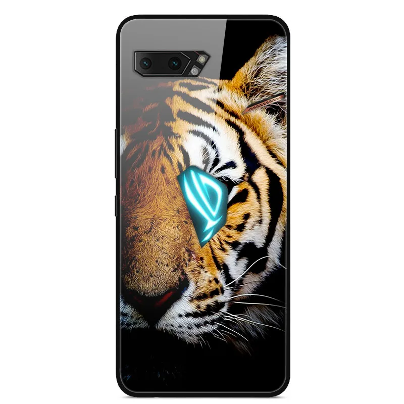 Для Asus ROG Phone II ZS660KL чехол 6,59 ''стеклянная жесткая задняя крышка для ROG Phone 2 ZS660KL чехол для телефона s бампер игровой телефон 2 - Цвет: 17