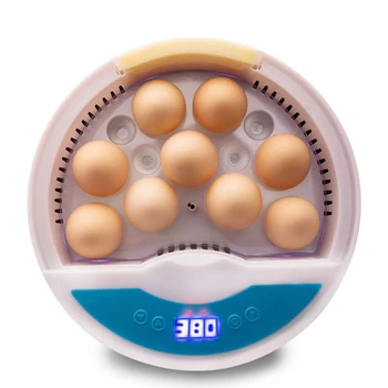 

Multi-functional 9 Eggs Capacity Automatic Intelligent Temperature Control Egg Incubator Practical Durable Hatcher