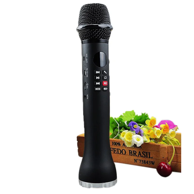 Micrófono inalámbrico Lewis L-598 Altavoz de karaoke de mano 