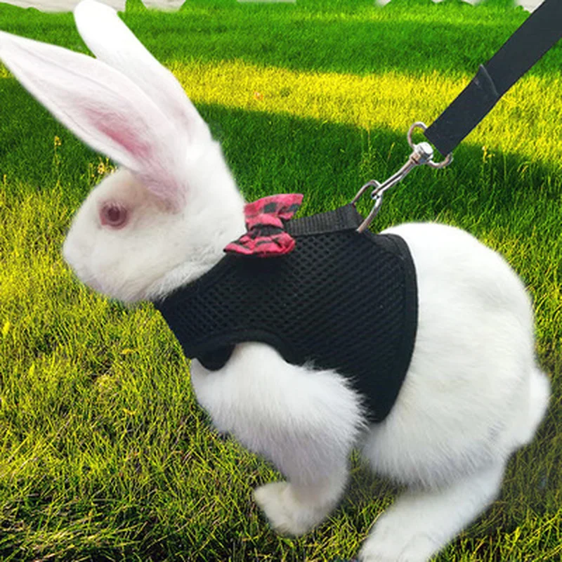 

Pet Mesh Soft Harness With Leash Small Animal Vest Lead for Hamster Rabbit Bunny Small animal pet accessories Belt lead set